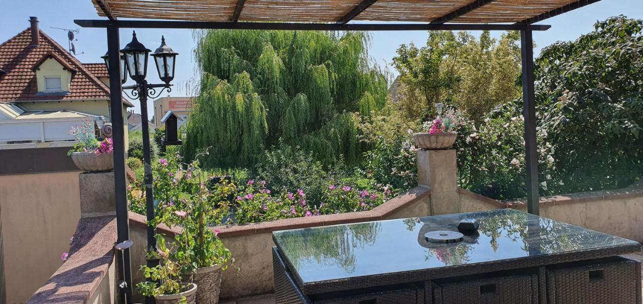 Maison De Vacances Avec Piscine, Proche Strasbourg Et Europa Park Sand Eksteriør bilde